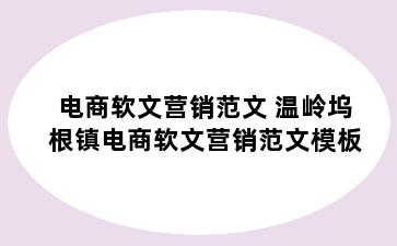 电商软文营销范文 温岭坞根镇电商软文营销范文模板